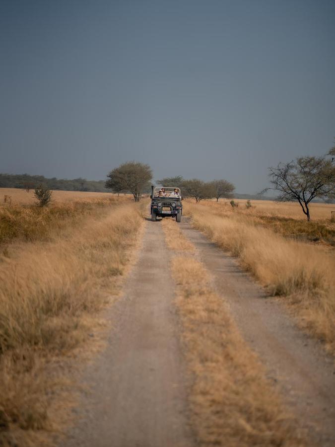 The Blackbuck Lodge 巴夫那加尔 外观 照片